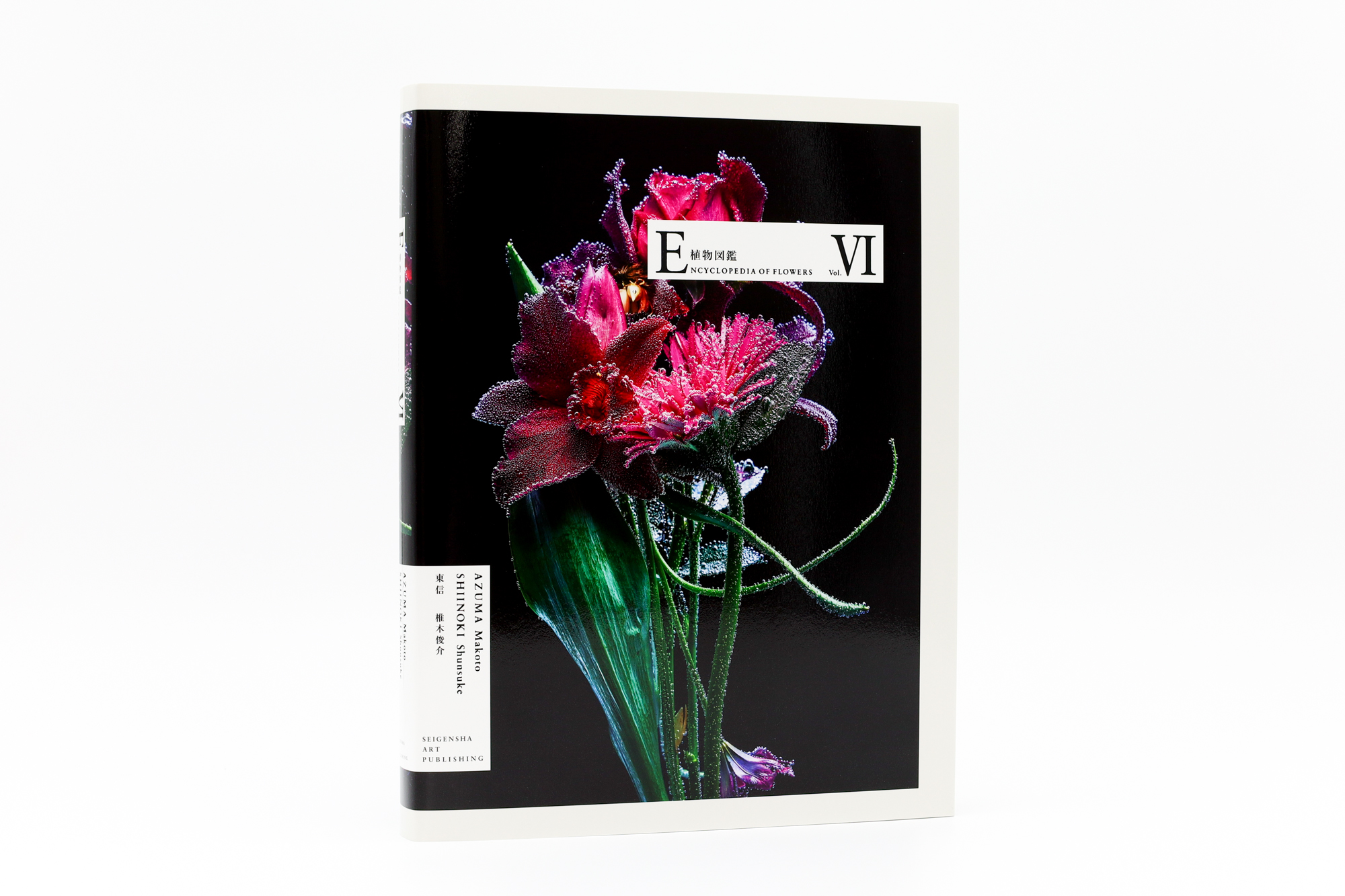 ENCYCLOPEDIA OF FLOWERS Ⅵ 植物図鑑｜青幻舎 SEIGENSHA Art