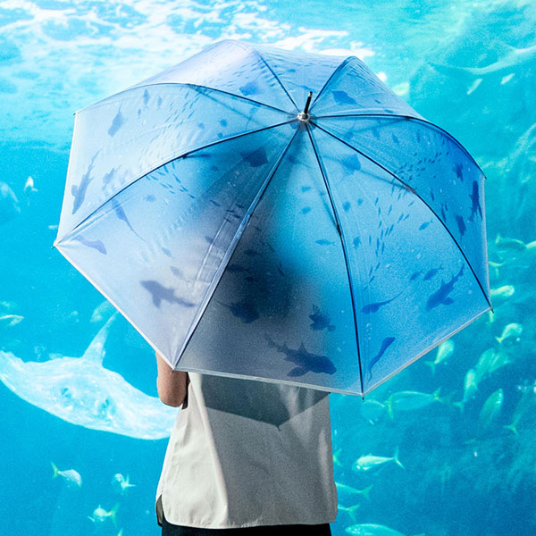 憂鬱な梅雨もhappyに♪まるで水中にいるようなWpc.×新江ノ島水族館の