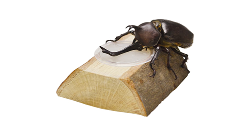 SANKO】三晃商会WEBページ