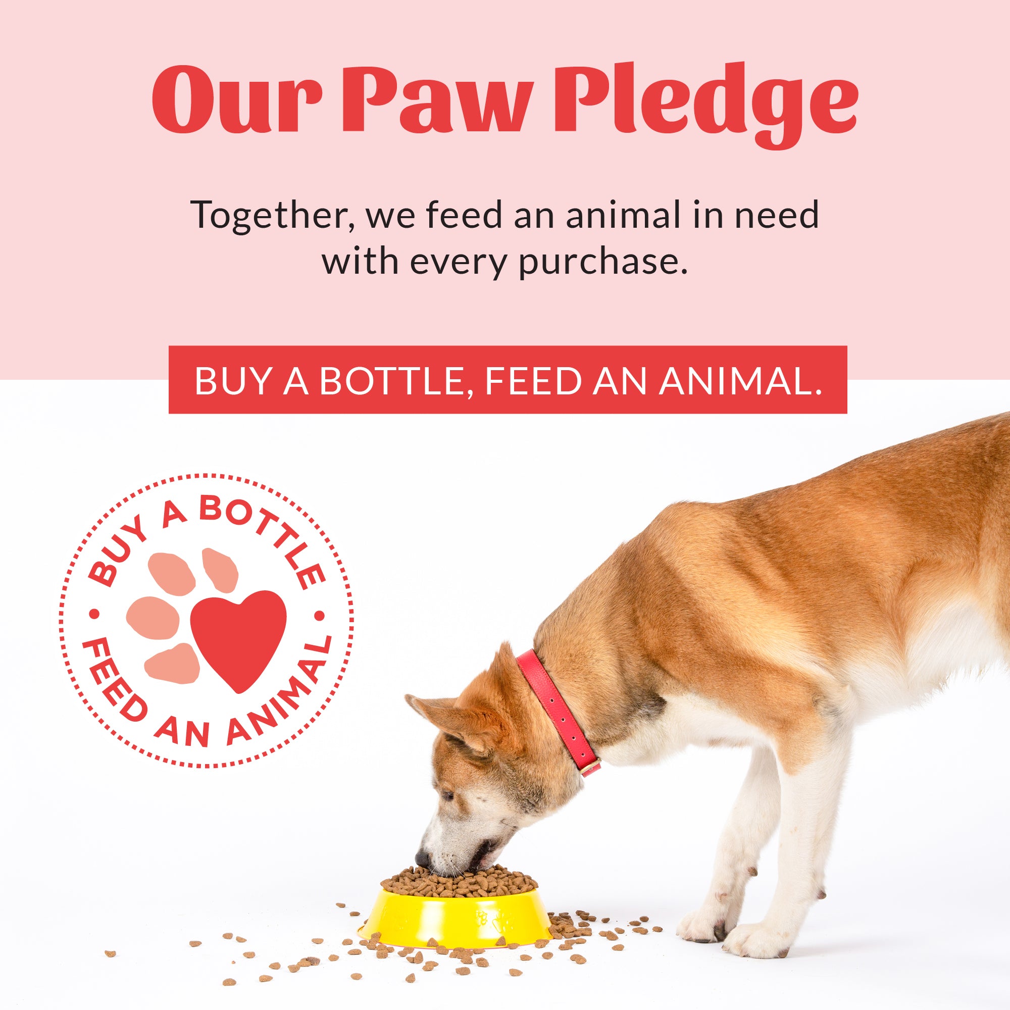 Probiotic Hot Spot Hydrogel for Dogs & Cats | Wound & Skin Care