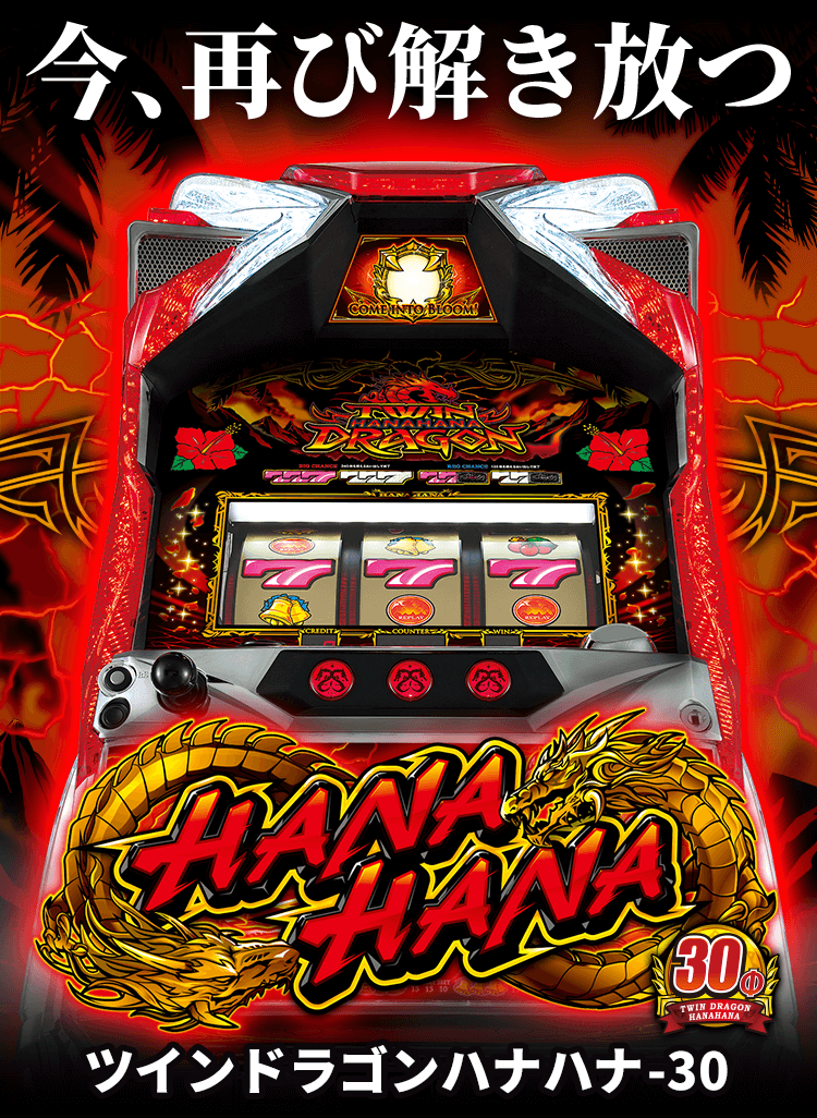 ツインドラゴンハナハナ-30 公式サイト