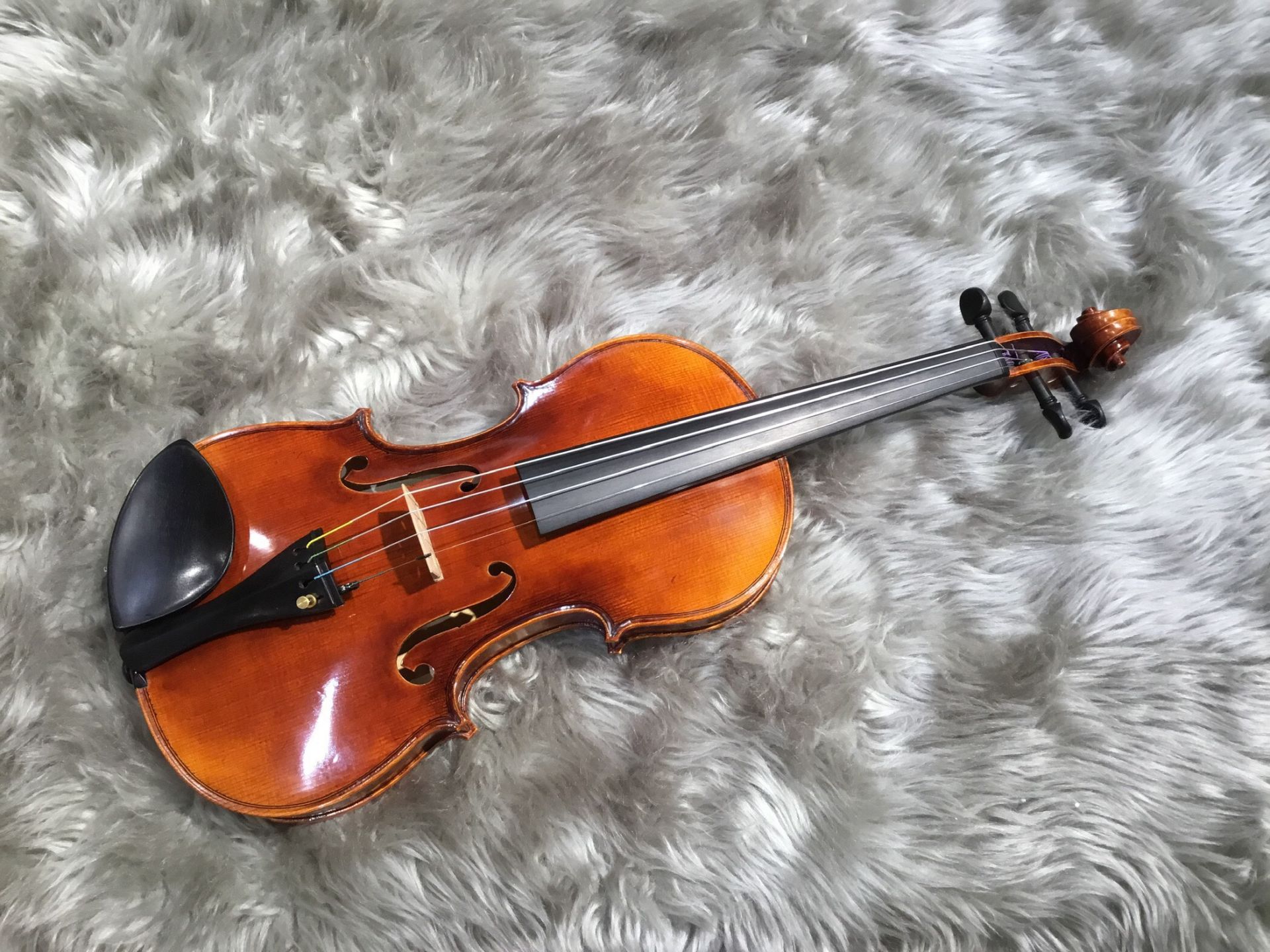 バイオリン総合ページ】初めての方でもお気軽にイオンモール日の出店へ