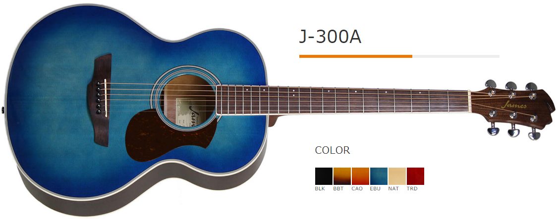 徹底解剖】James -ジェームス- アコースティックギターが初心者に