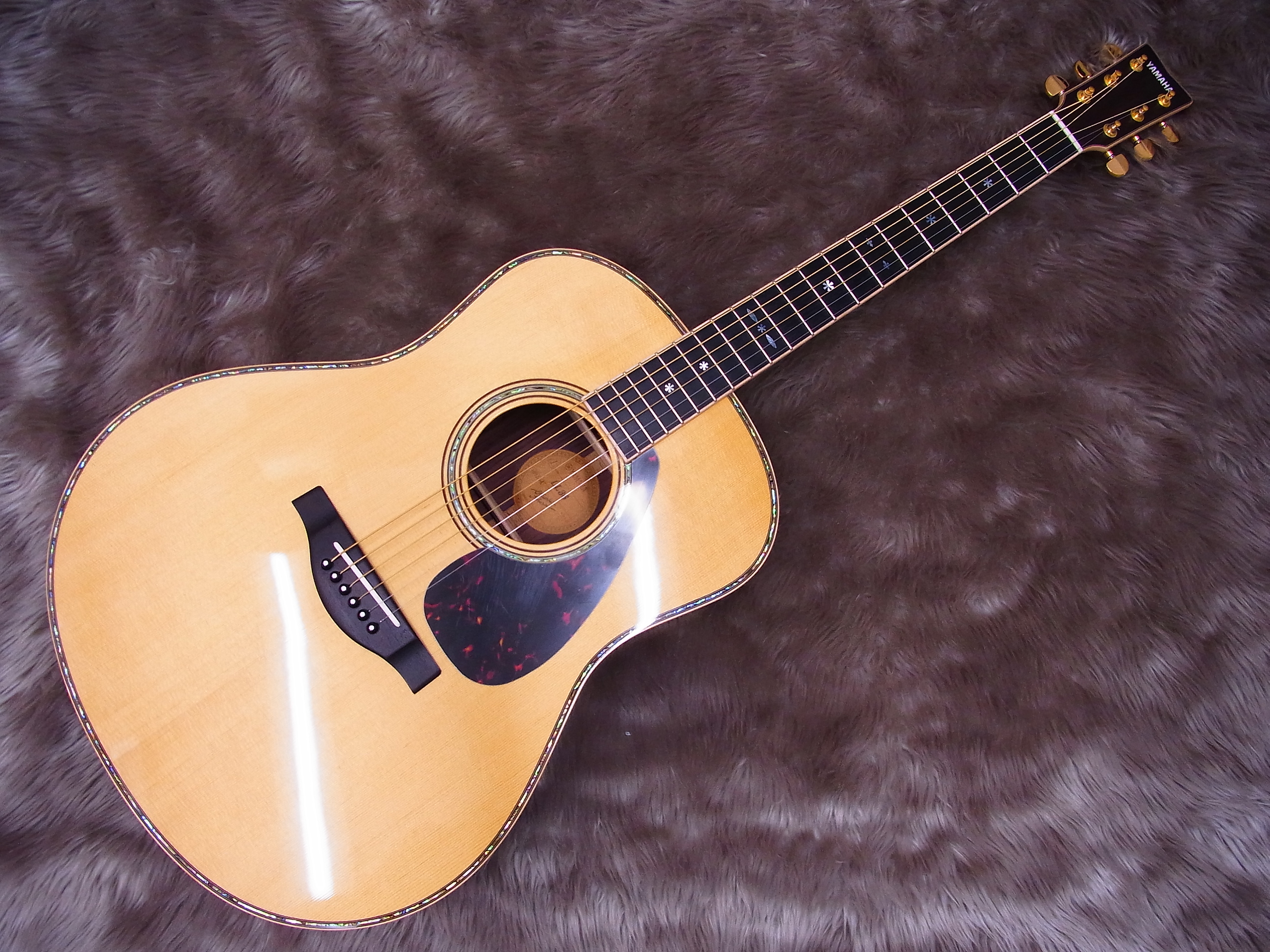 YAMAHAアコースティックギター続々入荷しております。｜島村楽器