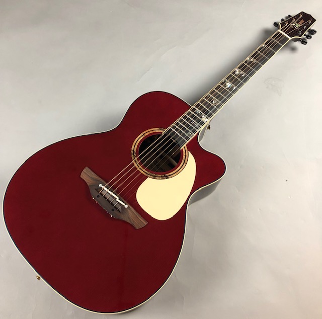 エレアコといえばTAKAMINE！限定限定11本のオーダーモデル