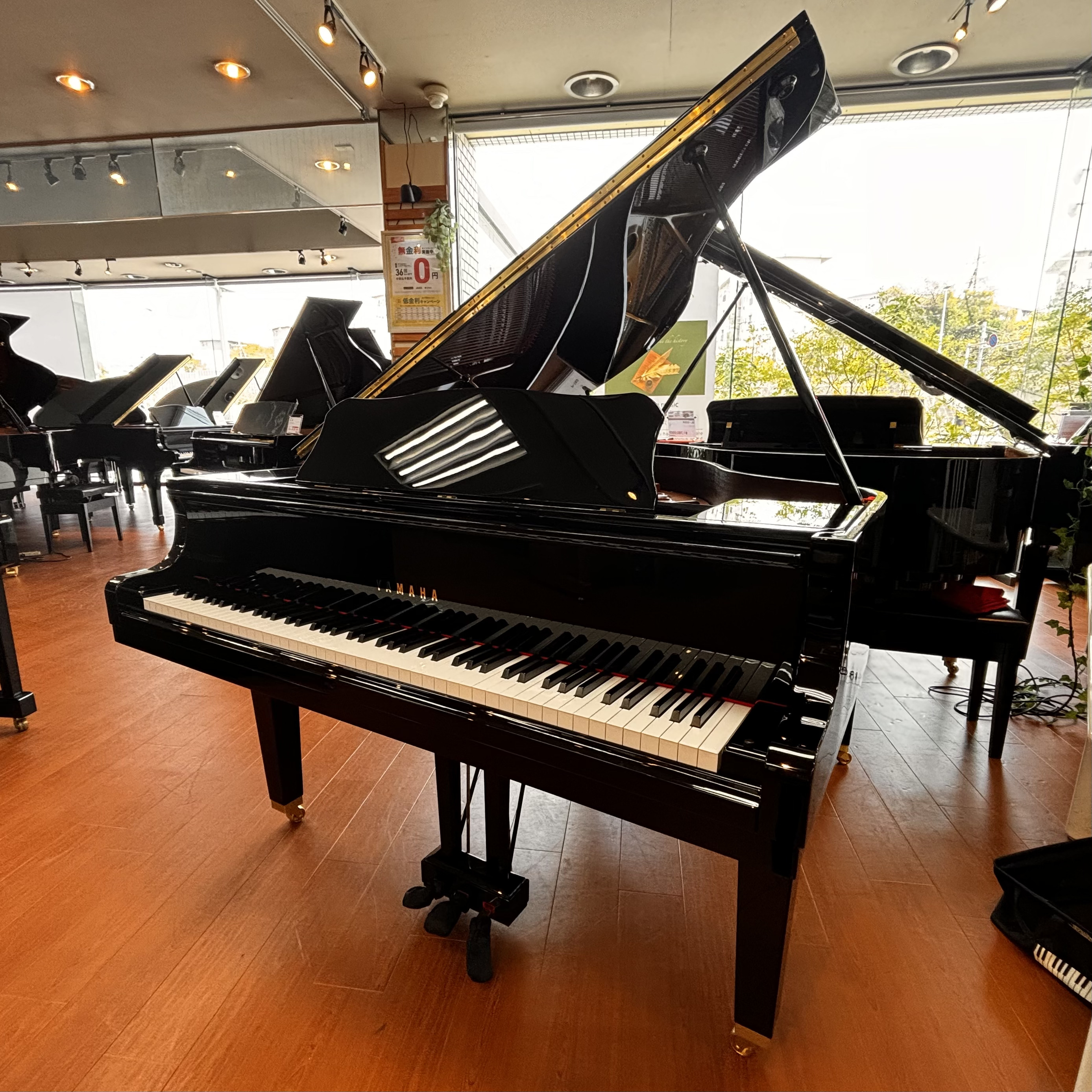 YAMAHA/ヤマハ 新品グランドピアノのご紹介｜島村楽器 ピアノ