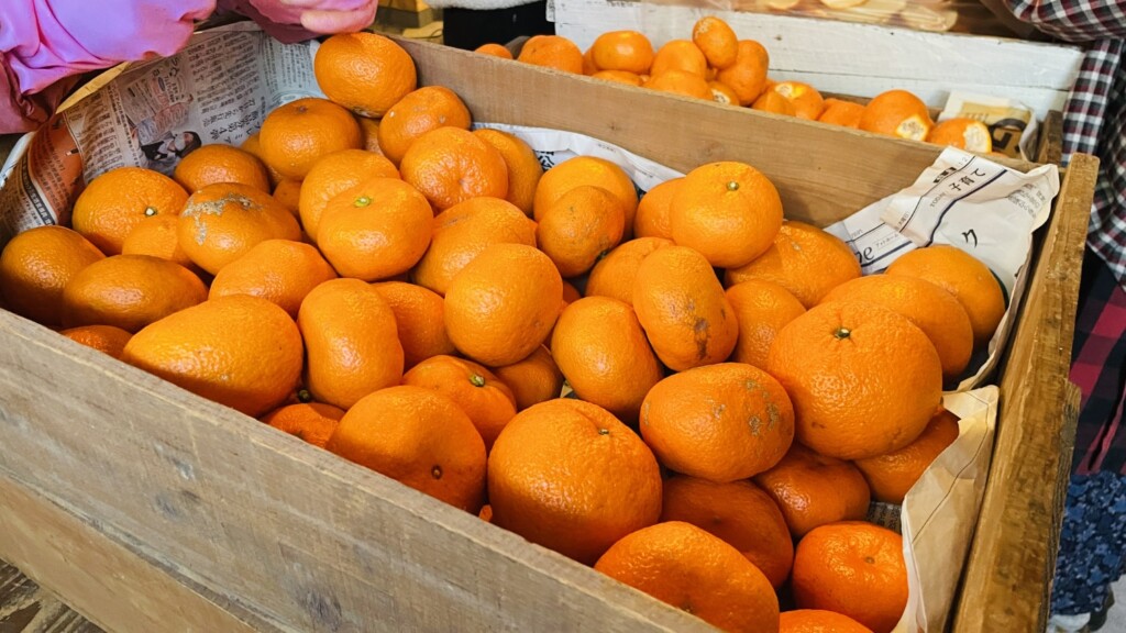 C107 バラのミカン畑 新刊セット 横山いしみ 会場限定 豊富な，HOT