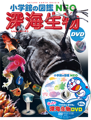 深海生物 DVDつき | 小学館の図鑑NEOシリーズ | 小学館