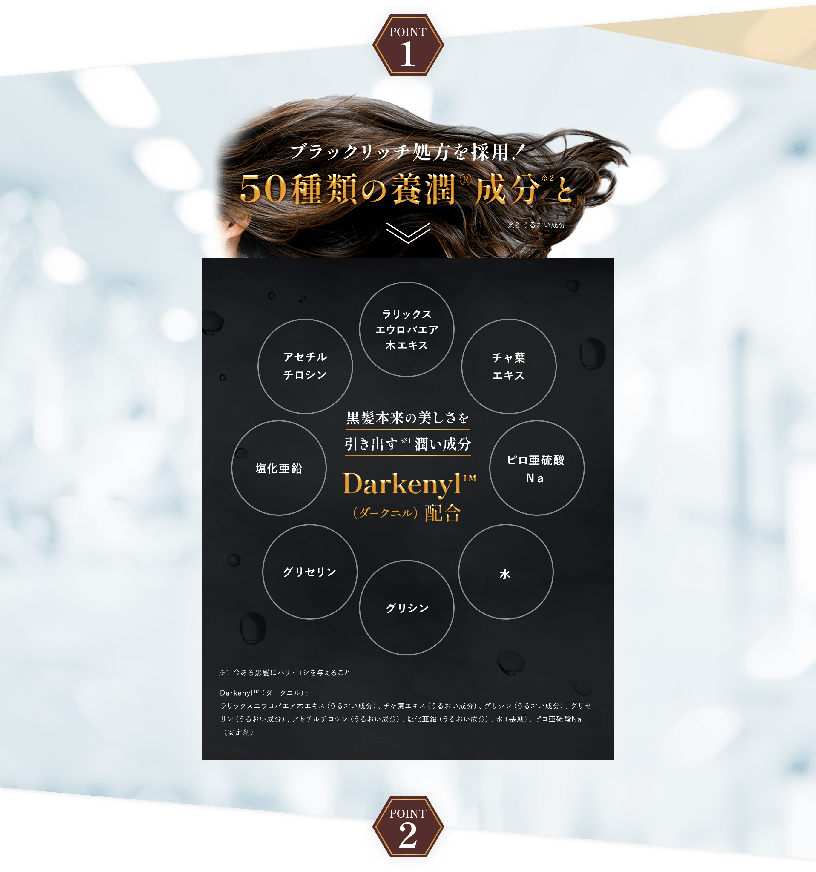 50の恵 黒髪アクティブエッセンス | ロート製薬オンライン【公式】