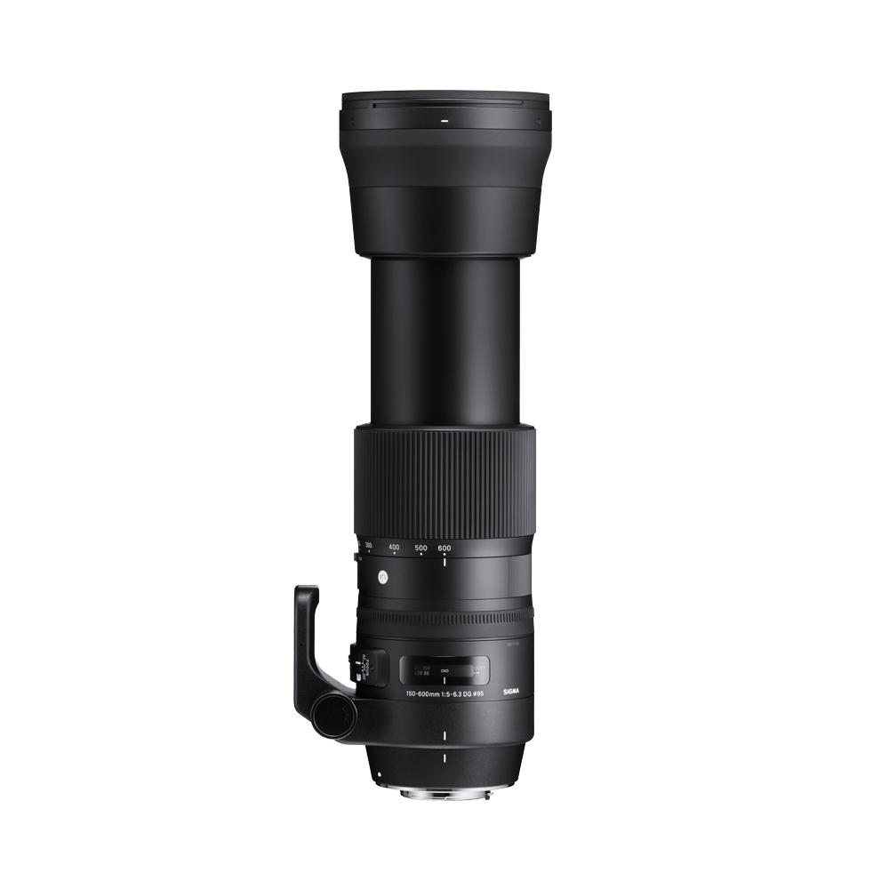 150-600mm F5-6.3 DG OS HSM | LENSES | Sigma