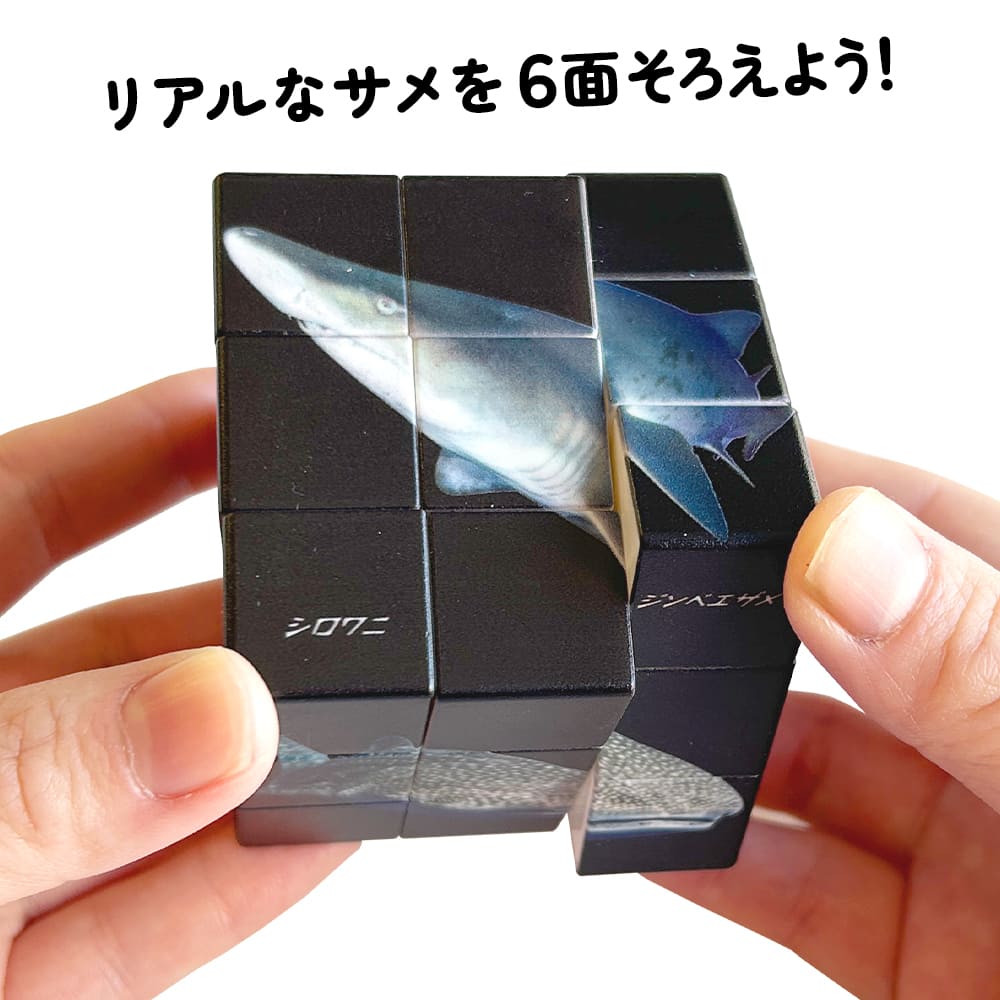 キューブ - 株式会社シルバーバック