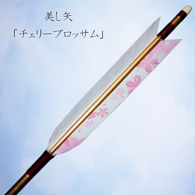 矢(ジュラルミン・近的矢）｜有限会社 しらみず弓道具店