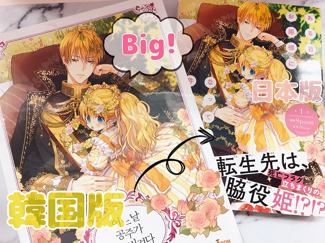 ある日、お姫様になってしまった件について 6巻(通常版)【韓国版