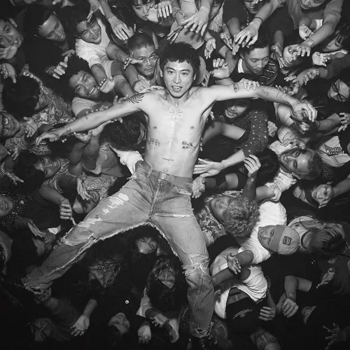 踊ってばかりの国 / PARADISE REVIEW [LP - HRLP313]：JAPANESE