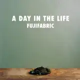 フジファブリック / A DAY IN THE LIFE [LP - ]：JAPANESE：アナログ
