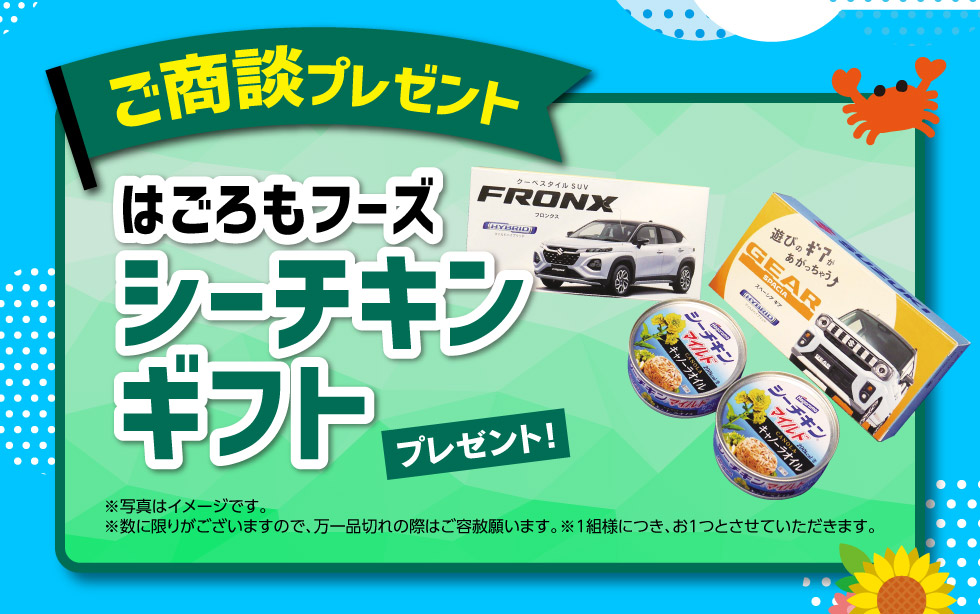 フェスキメまとめ売り フェスキメまとめ売りの通販はau PAY マーケット