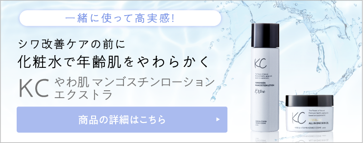 公式】SIWA-KCオールインワンスキンジェルモイスト｜ハーブ健康本舗