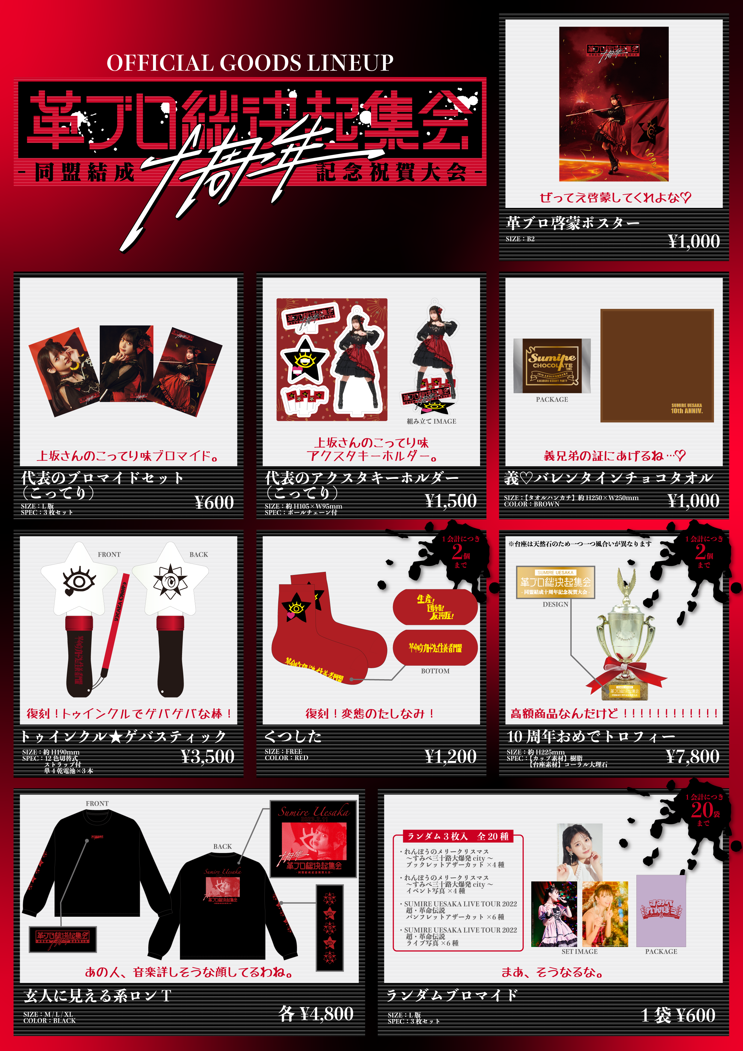 革ブロ総決起集会 -同盟結成十周年記念祝賀大会-』グッズ、CD/映像商品