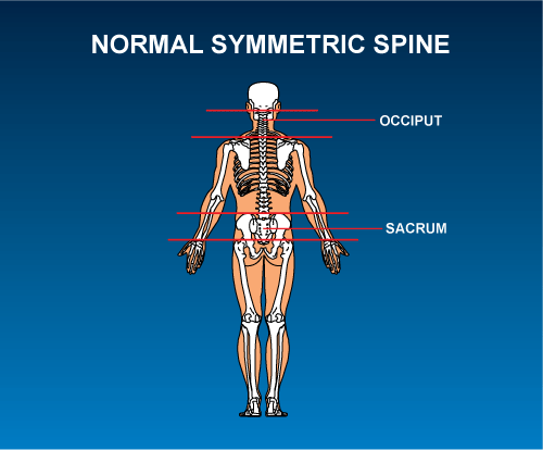Sacral Occipital Technique Overview | Sunset Chiropractic | South