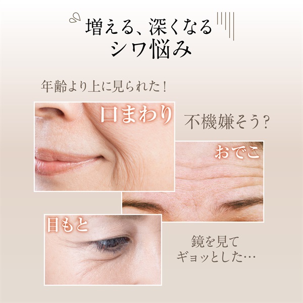 エクイタンス リンクルアプローチEX【サンスター公式通販】