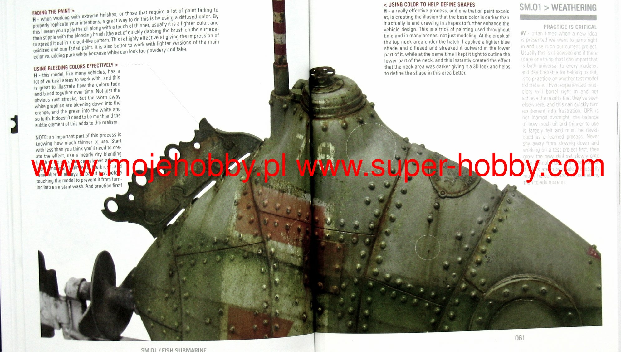 Fish Submarine Single Model 01