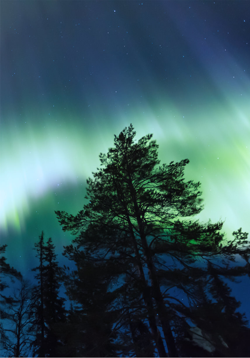 カナダ生まれの聖なるストーン、オーロラ・シンクロニシティ - 天然石