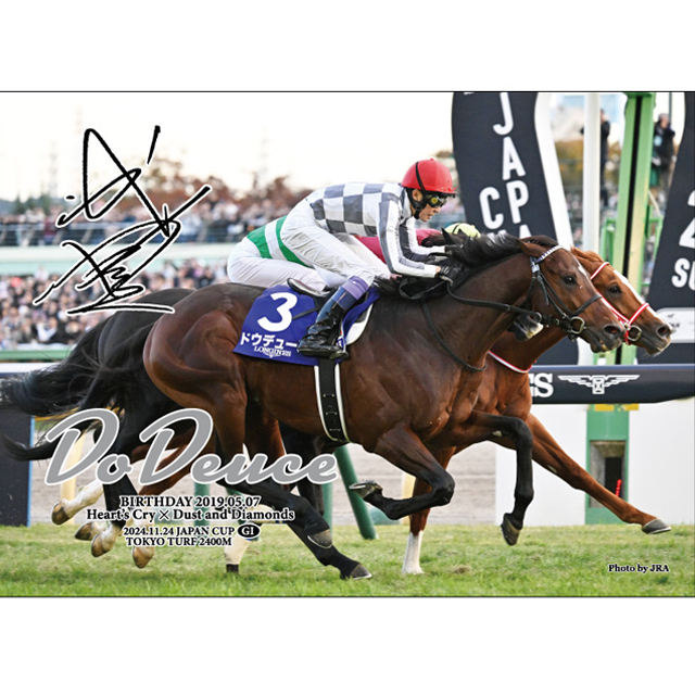 ドウデュース 2024年ジャパンカップ ジグソーパズル 500ピース