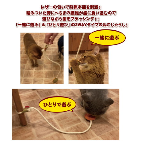 猫用 おもちゃ へちま レザー デンタル TOY ひも じゃらし グリーン/あ