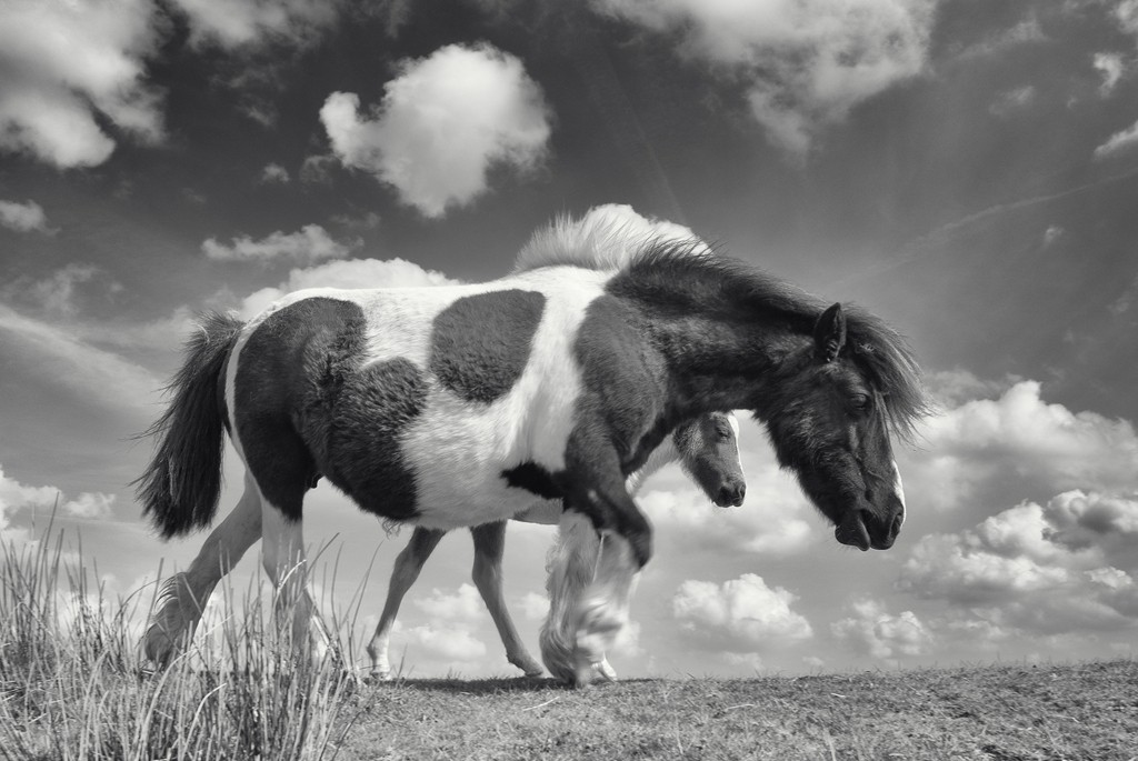 S-M-C/Super Takumar 20mm F4.5 Reviews - M42 Screwmount Extreme