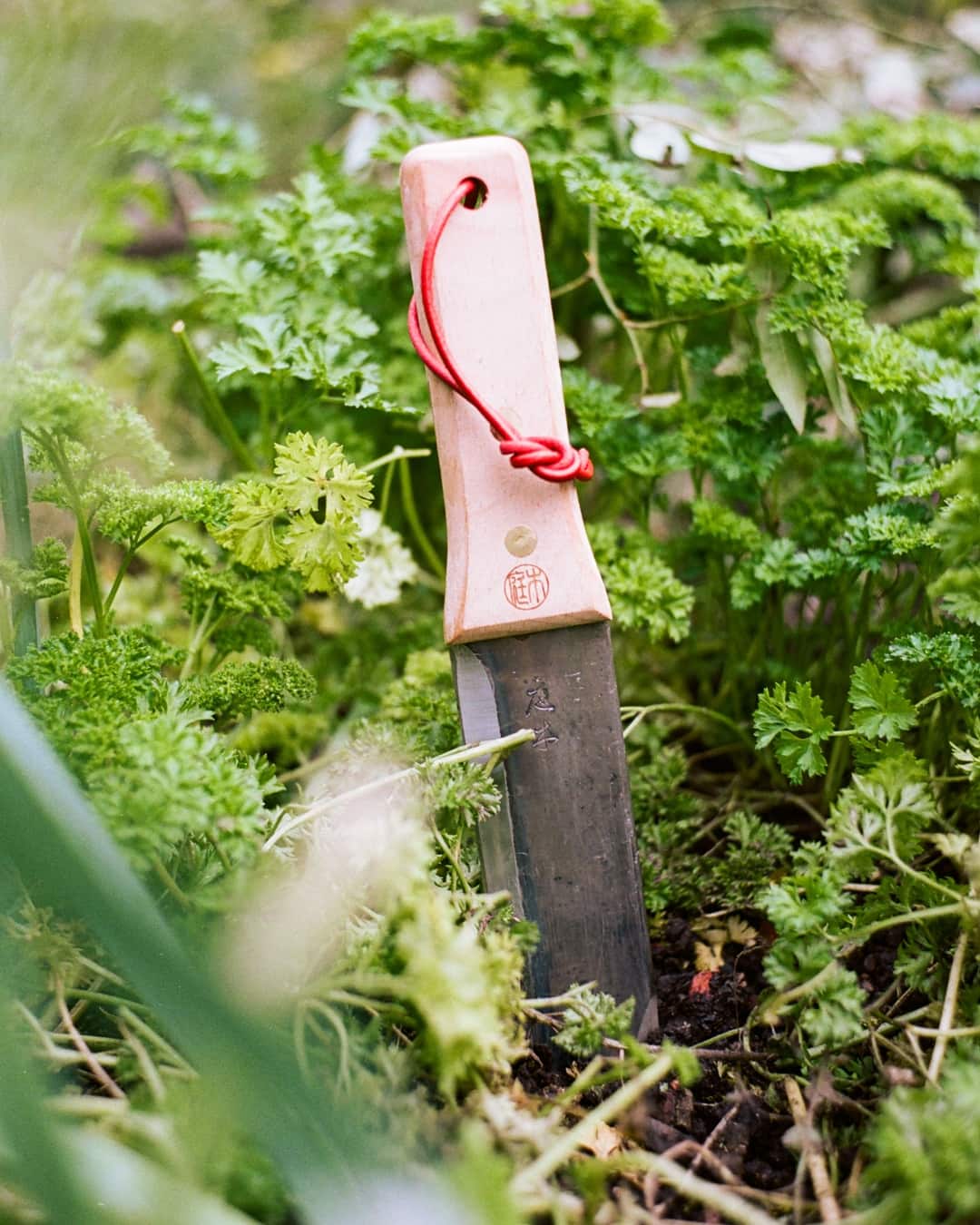 Niwaki | ポール・スミス