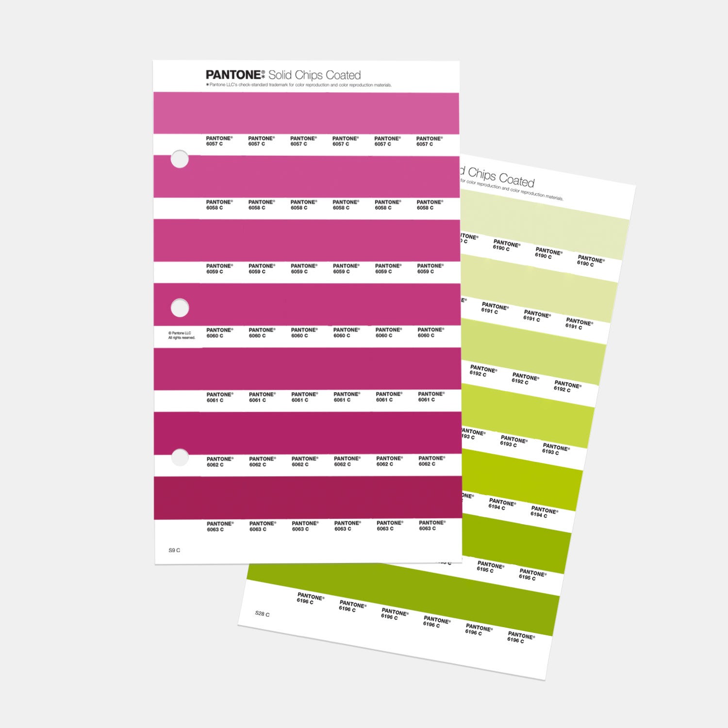 PANTONE® USA | Solid Chips Supplement | Coated & Uncoated