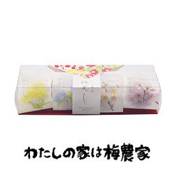 梅愛し4粒入 ギフト 南高梅・はちみつ梅の通販 わたしの家は梅農家