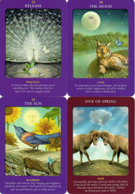 美品】アニマルタロットカード 日本語版説明書付 ドリーン バーチュー