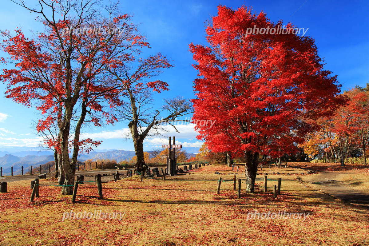碓氷峠見晴台の紅葉 写真素材 [4256500] - フォトライブラリー