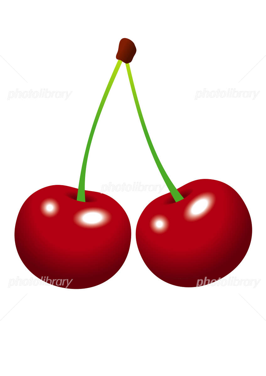 アメリカンチェリーのイラスト イラスト素材 [922848] - フォトライブ