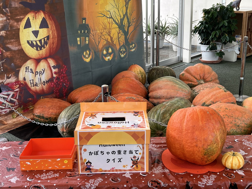10月 オバケかぼちゃと一緒に写真を撮ろう！ロビーで行っている
