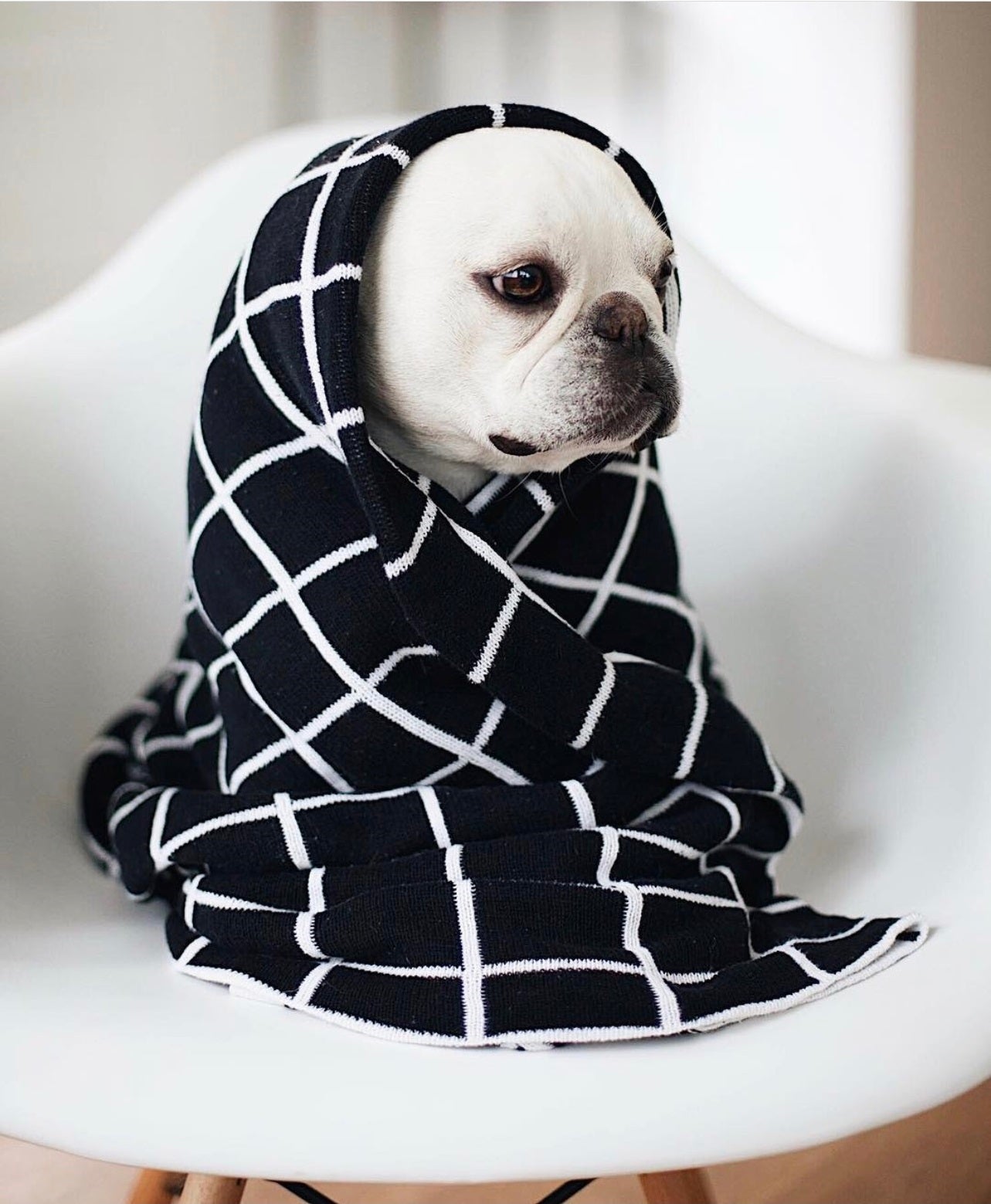 Grid Blanket – PIPOLLI