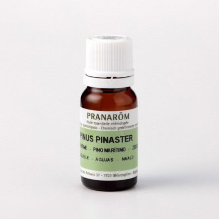 パイン – プラナロム エッセンシャルオイル・精油｜健草医学舎