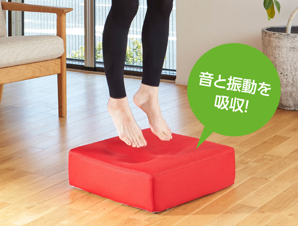 シェイポリン ロコックス トランポリン運動 クッション | TV