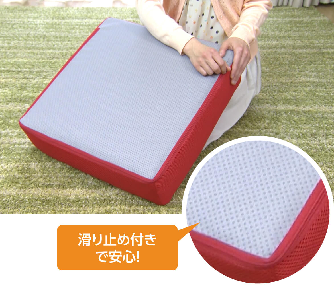 シェイポリン ロコックス トランポリン運動 クッション | TV