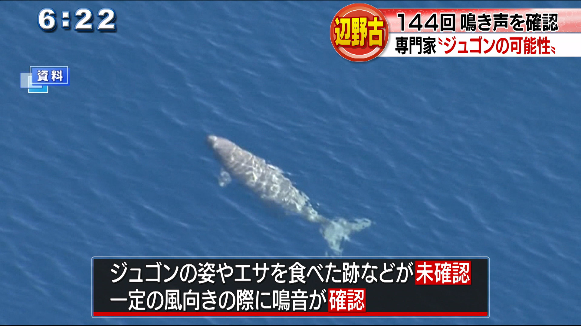 辺野古周辺海域でジュゴンの鳴き声？ 144回確認 – QAB NEWS Headline