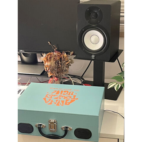 SALE]ION AUDIO×竹内アンナ 5th Anniversary “Vinyl Transport“【FC