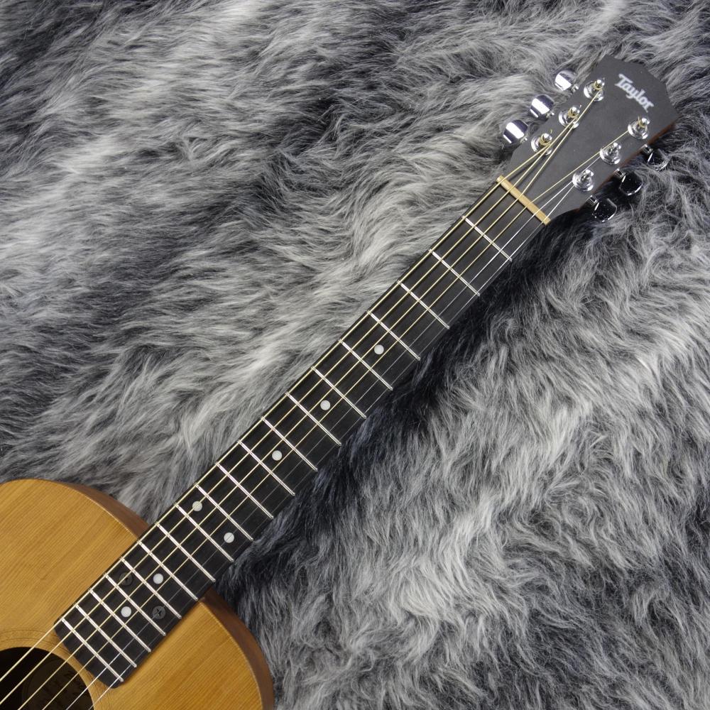 Baby Taylor 301 テイラー 貴重 ベイビーテイラー TAYLOR Baby Taylor 301|ドルフィンギターズ