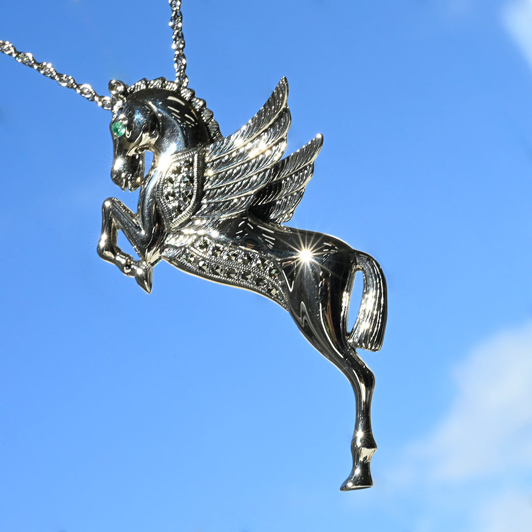 SV スカイペガサス ペンダントブローチ – 碌山ショップ