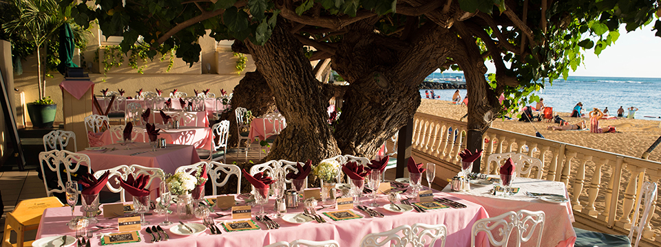 油絵 マミ ハワイのハウツリーラナイCafeで 油絵 マミ ハワイのハウ