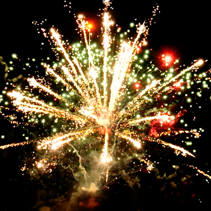 Buy Bonsai™ 40 Shots XL® Aerial Finale Set® Fireworks Online