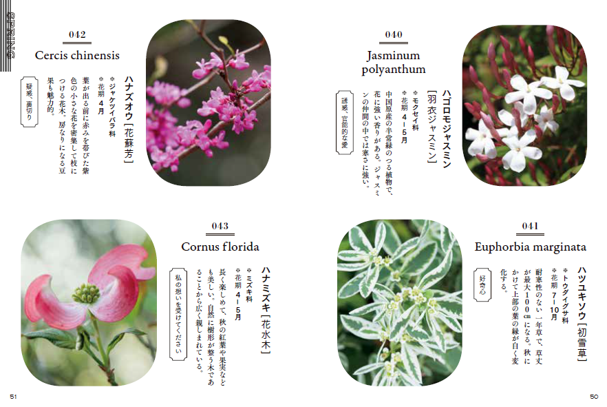 花の辞典 | タグ「辞典シリーズ」 | 書籍紹介 | 雷鳥社 Raichosha