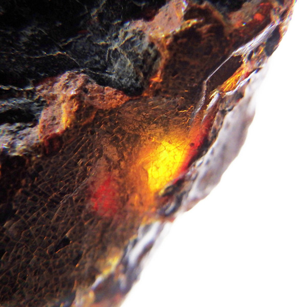 岡山のパワーストーン、風水・開運グッズのお店 龍祥本舗 / レッド