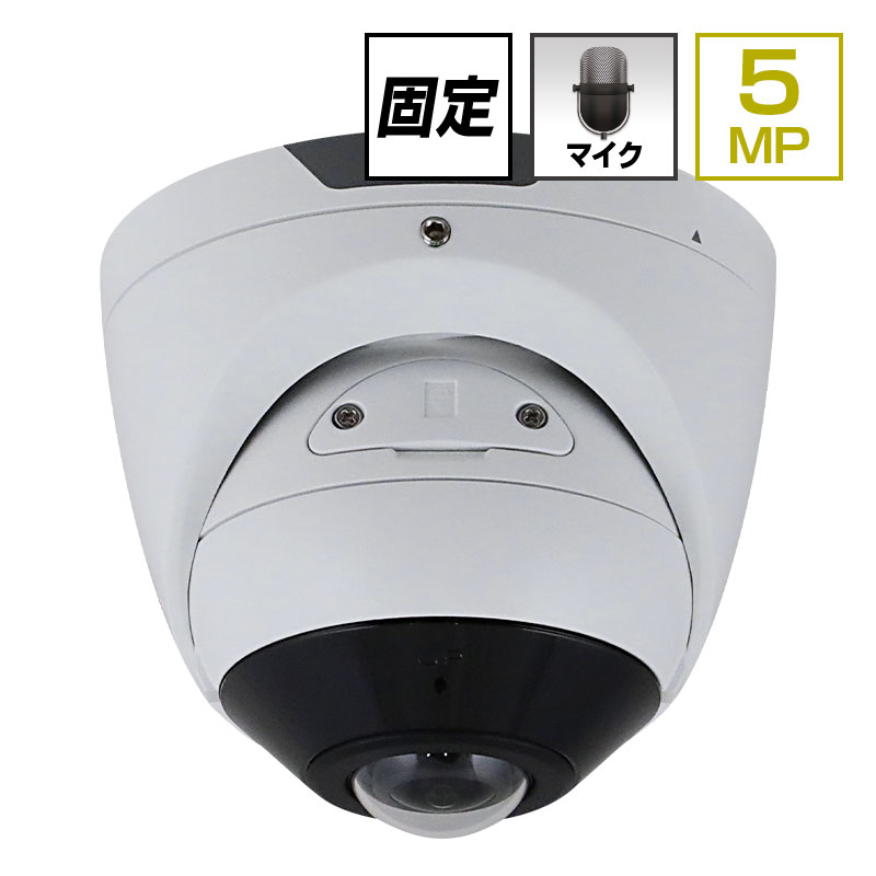 IPC-365 ネクステージ 5.0MP POE対応 赤外線防滴 超広角 タレット