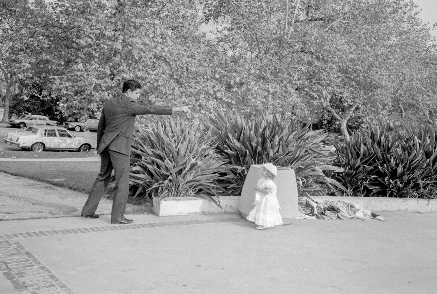 Mark Steinmetz — Taken from Light – Wolf Books